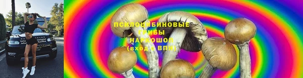 ГАЛЛЮЦИНОГЕННЫЕ ГРИБЫ Горняк